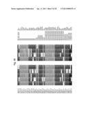 Biological Markers of Chronic Wound Tissue and Methods of Using for     Criteria in Surgical Debridement diagram and image