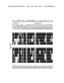 Biological Markers of Chronic Wound Tissue and Methods of Using for     Criteria in Surgical Debridement diagram and image