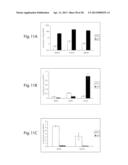 Biological Markers of Chronic Wound Tissue and Methods of Using for     Criteria in Surgical Debridement diagram and image