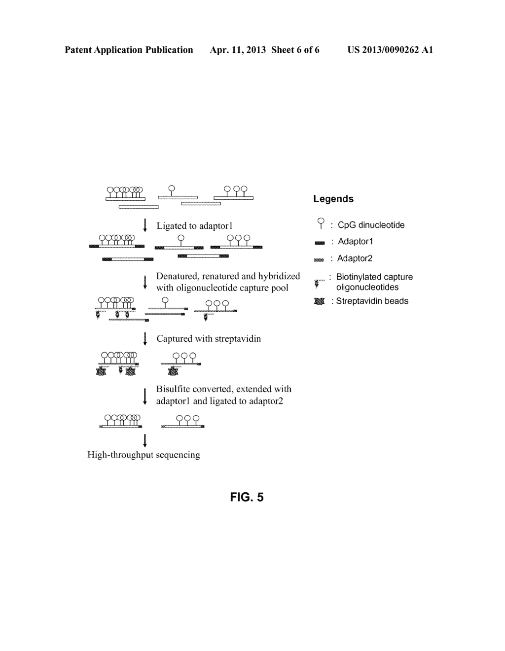 SELECTIVE ENRICHMENT OF CpG ISLANDS - diagram, schematic, and image 07