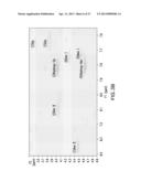 ISOLATION, IDENTIFICATION, AND USES OF ANTIFUNGAL COMPOUNDS diagram and image