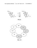 ISOLATION, IDENTIFICATION, AND USES OF ANTIFUNGAL COMPOUNDS diagram and image