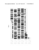 INHIBITORS OF INFLUENZA ENDONUCLEASE ACTIVITY AND TOOLS FOR THEIR     DISCOVERY diagram and image