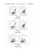 COMPOSITIONS INCLUDING TRICIRIBINE AND TAXANES AND METHODS OF USE THEREOF diagram and image