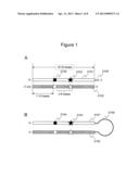 AGENT FOR SUPPRESSING EXPRESSION OF DOMINANT ALLELE diagram and image