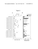 AGENT FOR SUPPRESSING EXPRESSION OF DOMINANT ALLELE diagram and image