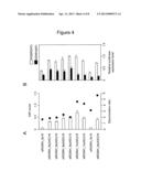 AGENT FOR SUPPRESSING EXPRESSION OF DOMINANT ALLELE diagram and image