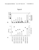 AGENT FOR SUPPRESSING EXPRESSION OF DOMINANT ALLELE diagram and image