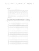 ANTIBODIES TO TUMOR ASSOCIATED PROTEINS diagram and image