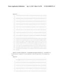 ANTIBODIES TO TUMOR ASSOCIATED PROTEINS diagram and image