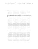 ANTIBODIES TO TUMOR ASSOCIATED PROTEINS diagram and image