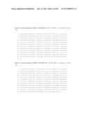 ANTIBODIES TO TUMOR ASSOCIATED PROTEINS diagram and image