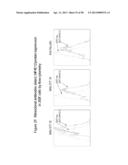 ANTIBODIES TO TUMOR ASSOCIATED PROTEINS diagram and image