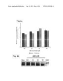 METHOD OF TREATING GAUCHER DISEASE diagram and image