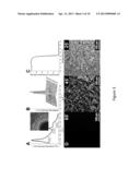 Polymeric Composites Having Oriented Nanomaterials and Methods of Making     the Same diagram and image