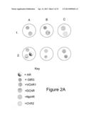 Light-Sensitive Ion-Passing Molecules diagram and image