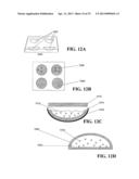 Light-Sensitive Ion-Passing Molecules diagram and image