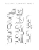 Light-Sensitive Ion-Passing Molecules diagram and image