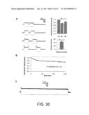 Light-Sensitive Ion-Passing Molecules diagram and image