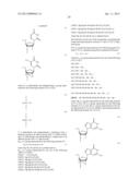 ENA NUCLEIC ACID PHARMACEUTICALS CAPABLE OF MODIFYING SPLICING OF mRNA     PRECURSORS diagram and image