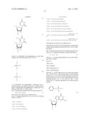 ENA NUCLEIC ACID PHARMACEUTICALS CAPABLE OF MODIFYING SPLICING OF mRNA     PRECURSORS diagram and image