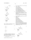 ENA NUCLEIC ACID PHARMACEUTICALS CAPABLE OF MODIFYING SPLICING OF mRNA     PRECURSORS diagram and image