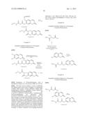 OPTICALLY-DETECTABLE ENZYME SUBSTRATES AND THEIR METHOD OF USE diagram and image