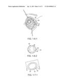 Ocular Insert Apparatus and Methods diagram and image