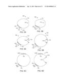 Ocular Insert Apparatus and Methods diagram and image