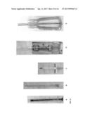 DERMAL MICRO-ORGANS, METHODS AND APPARATUSES FOR PRODUCING AND USING THE     SAME diagram and image