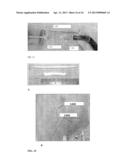 DERMAL MICRO-ORGANS, METHODS AND APPARATUSES FOR PRODUCING AND USING THE     SAME diagram and image