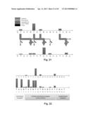 METHODS, SYSTEMS, AND COMPUTER READABLE MEDIA FOR MAKING BASE CALLS IN     NUCLEIC ACID SEQUENCING diagram and image