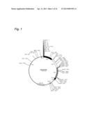 Cosmid Vector for Transforming Plant and Use Thereof diagram and image