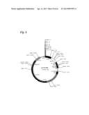 Cosmid Vector for Transforming Plant and Use Thereof diagram and image