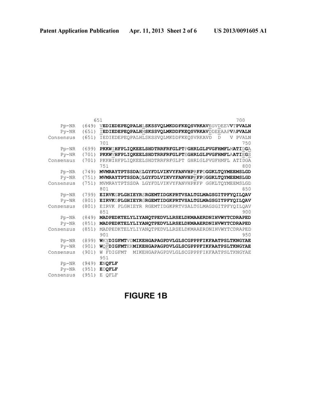 NITRATE REDUCTASES FROM RED ALGAE, COMPOSITIONS AND METHODS OF USE THEREOF - diagram, schematic, and image 03