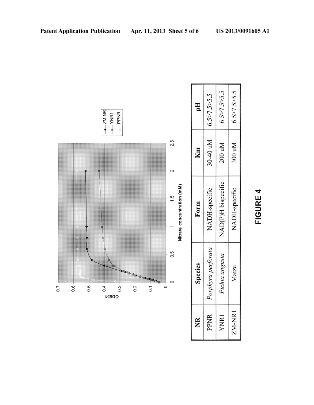 NITRATE REDUCTASES FROM RED ALGAE, COMPOSITIONS AND METHODS OF USE THEREOF - diagram, schematic, and image 06