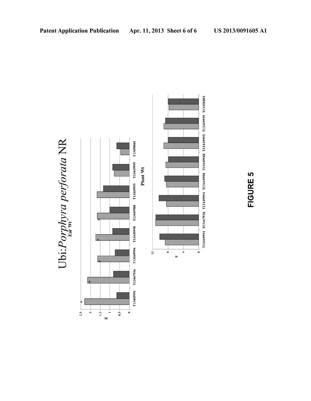 NITRATE REDUCTASES FROM RED ALGAE, COMPOSITIONS AND METHODS OF USE THEREOF - diagram, schematic, and image 07