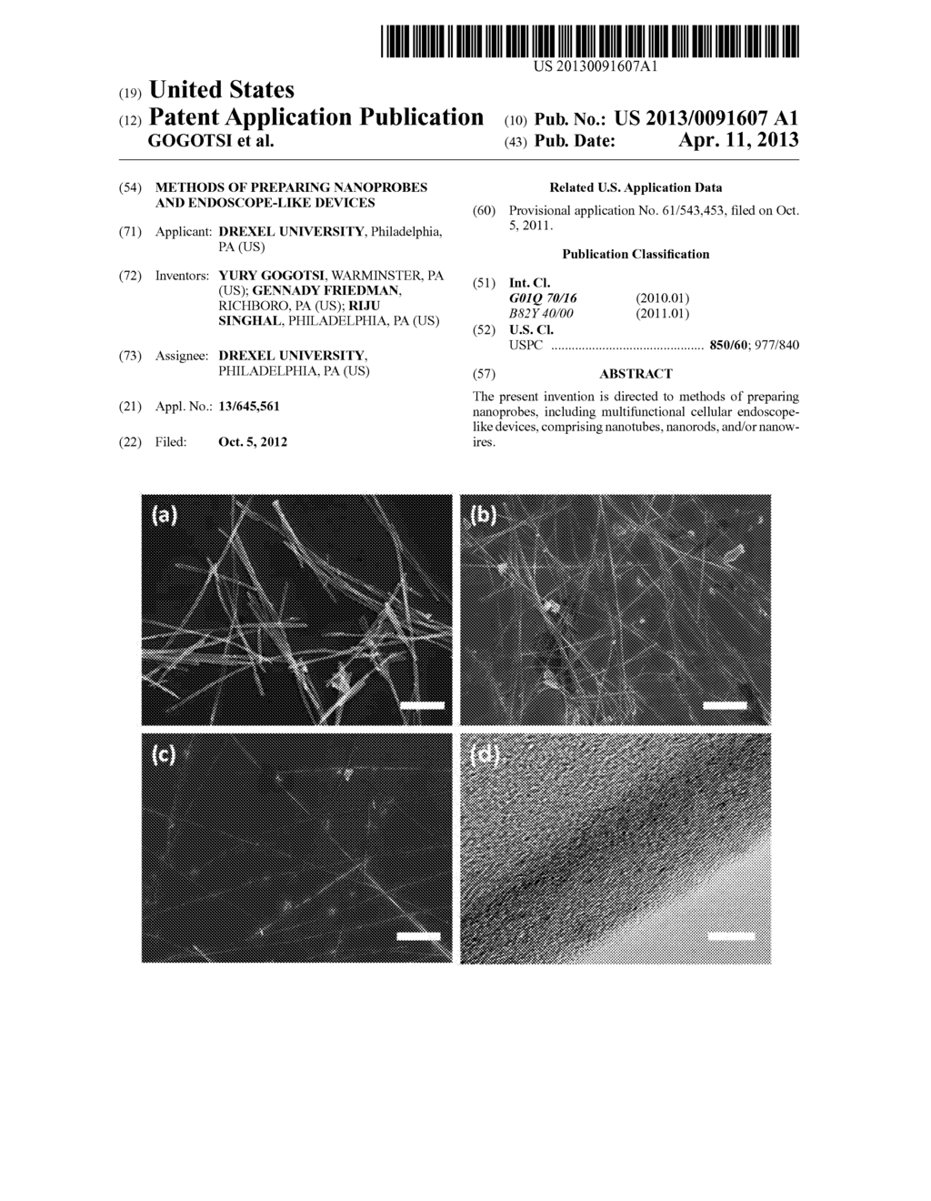 METHODS OF PREPARING NANOPROBES AND ENDOSCOPE-LIKE DEVICES - diagram, schematic, and image 01