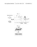 Electrochemical Device Comprising Aliphatic Nitrile Compound diagram and image