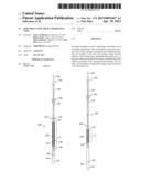 Downhole Tool Impact Dissipating Tool diagram and image