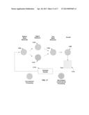 High Productivity Combinatorial Dual Shadow Mask Design diagram and image