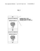 STEREOSCOPIC IMAGE REPRODUCTION DEVICE AND METHOD, STEREOSCOPIC IMAGE     CAPTURING DEVICE, AND STEREOSCOPIC DISPLAY DEVICE diagram and image