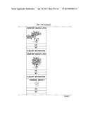 STEREOSCOPIC IMAGE REPRODUCTION DEVICE AND METHOD, STEREOSCOPIC IMAGE     CAPTURING DEVICE, AND STEREOSCOPIC DISPLAY DEVICE diagram and image