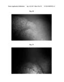 IMAGING SYSTEMS AND METHODS FOR RECOVERING OBJECT VISIBILITY diagram and image