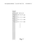 Display Device And An Electronic Apparatus Using The Same diagram and image