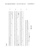 Anti-CD74 Immunoconjugates and Methods diagram and image