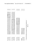 Anti-CD74 Immunoconjugates and Methods diagram and image