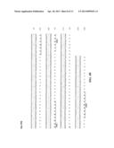 Anti-CD74 Immunoconjugates and Methods diagram and image