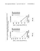 METHOD OF TREATING AUTOIMMUNE DISEASES WITH INTERFERON-BETA AND IL-2R     ANTAGONIST diagram and image