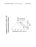 METHOD OF TREATING AUTOIMMUNE DISEASES WITH INTERFERON-BETA AND IL-2R     ANTAGONIST diagram and image